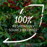 Nescafe Classic Decaf Jar 300g