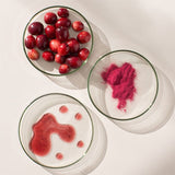 New Nordic Cran Berry 60 Gummies