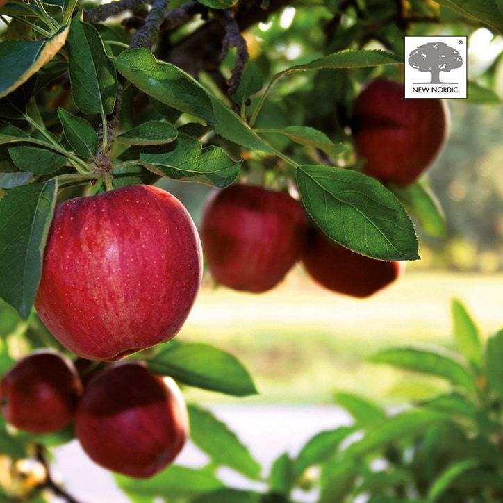 New Nordic Hair Gro 60 Tablets