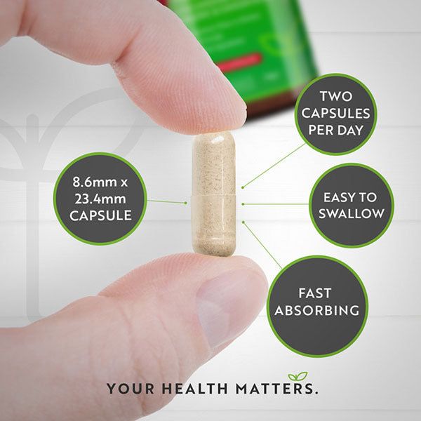 Nutravita Apple Cider Vinegar + Turmeric & Ginger - 180 Caps