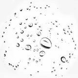 NYX Professional Makeup Plump Right Back Setting Spray