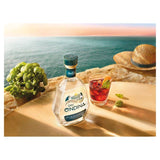 O'ndina Gin - Small Batch Super Premium Italian Gin 70cl