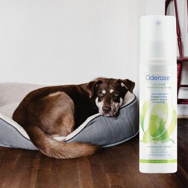 Oderase Pet Smell Neutralising Spray 200ml