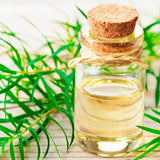 OGX Refreshing Scalp+ Teatree Mint Extra Strength Conditioner 385ml