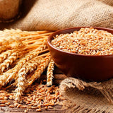 OGX Thick & Full+ Biotin & Collagen pH Balanced Shampoo 385ml