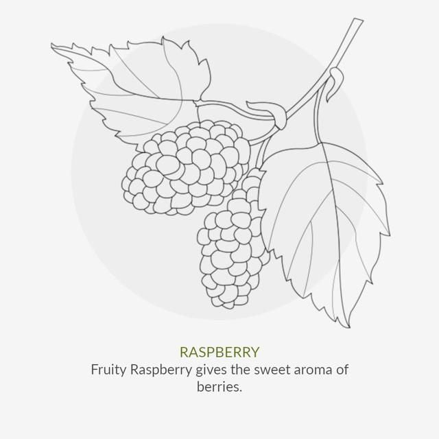 Organic Children Berry Smoothie Shampoo 200ml