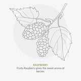 Organic Children Berry Smoothie Shampoo 200ml