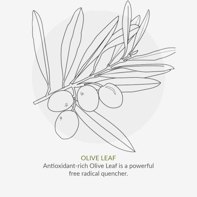 Organic Children Lavender Conditioner 200ml