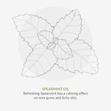 Organic Children Spearmint & Aloe Vera Fluoride Free Toothpaste 50ml