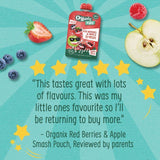Organix KIDS Red Berries & Apple Smash Pouch 100g
