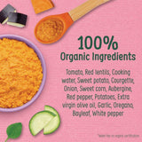 Organix Rainbow Ratatouille With Lentils Baby Food 7 months 130g