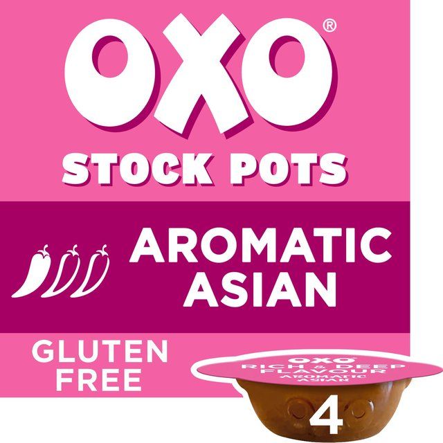 Oxo Aromatic Asian Stock Pots 4 x 20g