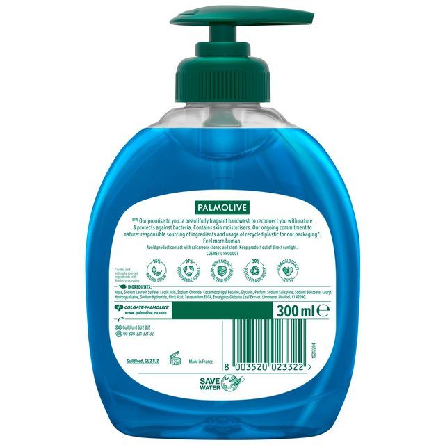 Palmolive Hygiene Plus Fresh Eucalyptus Hand Wash 300ml