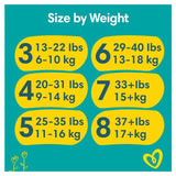 Pampers Baby-Dry Nappies Size 5+ (12-17kg) Essential Pack 35 per pack