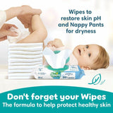 Pampers Baby-Dry Nappy Pants Size 6 (15kg+) Essential Pack 28 per pack