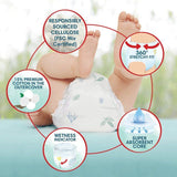 Pampers Harmonie Nappies Pants Size 5 Essential Pack 20 per pack