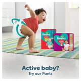 Pampers Premium Protection Nappies Size 4 (9-14kg) Jumbo+ Pack 62 per pack