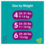 Pampers Premium Protection Nappies Size 6 (13kg+) Jumbo+ Pack 48 per pack