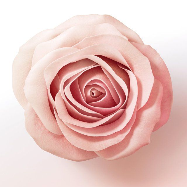 Pantene Lift & Volume Shampoo Biotin & Rose Water 400ml