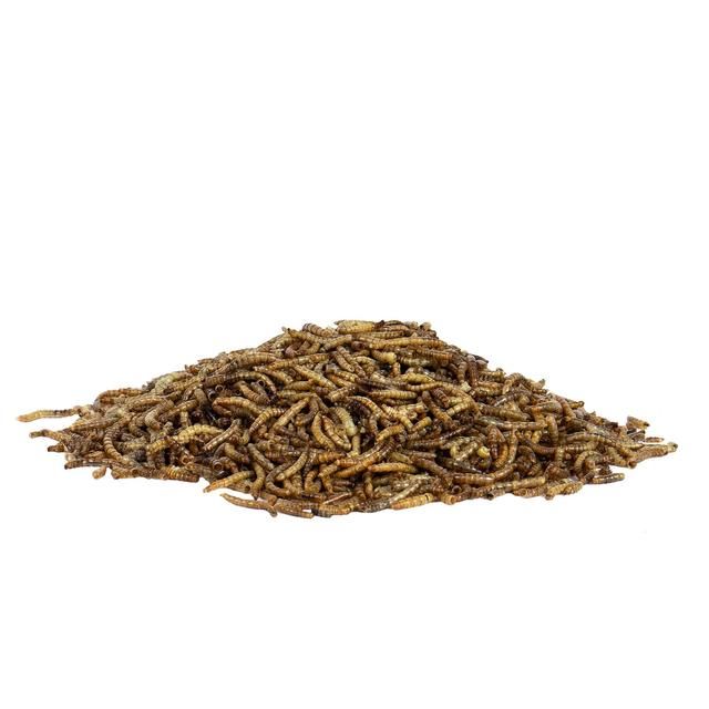 Peckish Mealworms For Wild Birds   500g