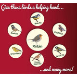 Peckish Robin Bird Seed and Insect Mix 1kg