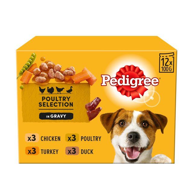 Pedigree Adult Wet Dog Food Pouches Mixed Varieties in Gravy   12 x 100g