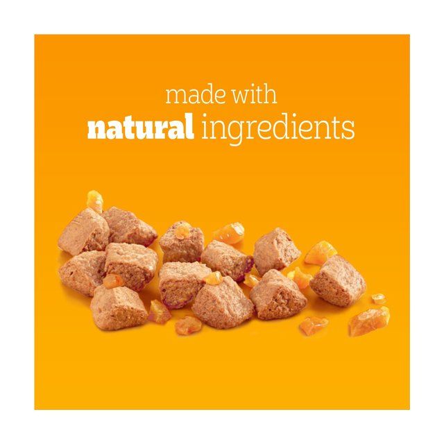 Pedigree Adult Wet Dog Food Tins Mixed in Jelly 6 x 385g