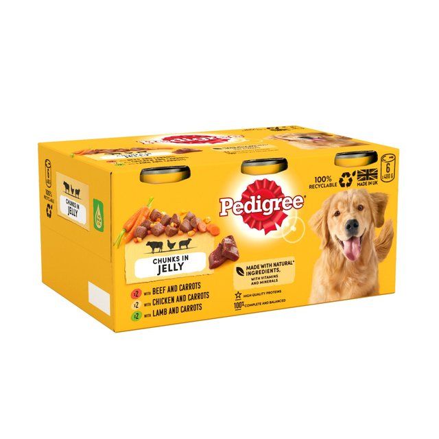 Pedigree Adult Wet Dog Food Tins Mixed in Jelly 6 x 400g