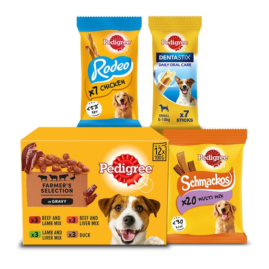 Pedigree Dog Food Pouches & Treats Bundle