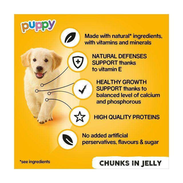 Pedigree Puppy Wet Dog Food Tins Mixed in Jelly    6 x 400g