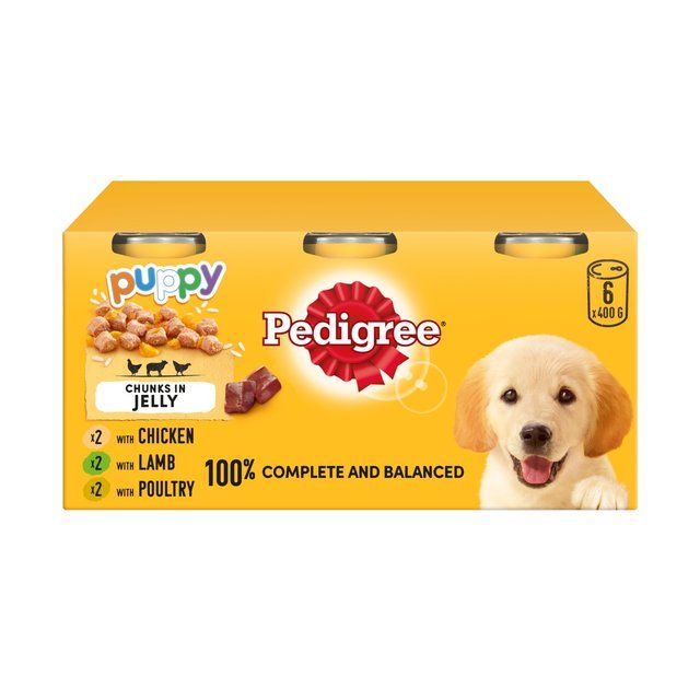 Pedigree Puppy Wet Dog Food Tins Mixed in Jelly    6 x 400g
