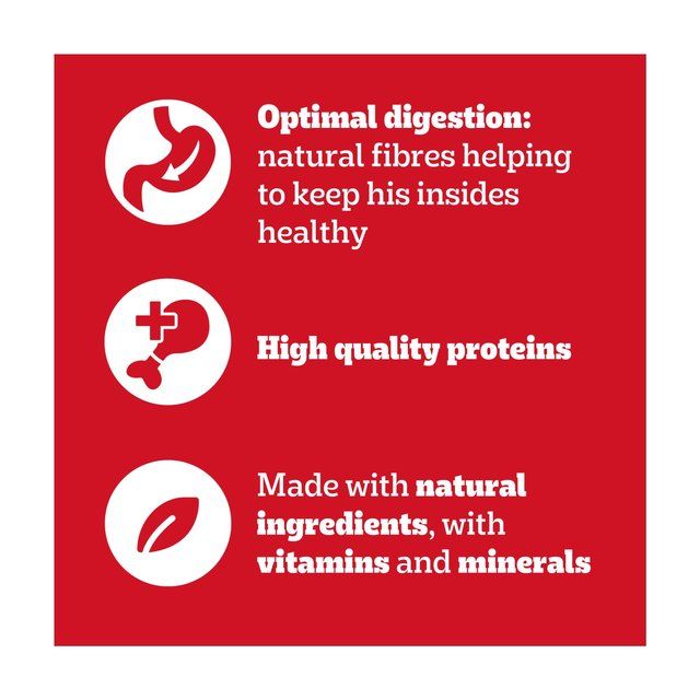 Pedigree Wet Dog Food Pouches with Beef Liver and Vegetables in Gravy   12 x 100g