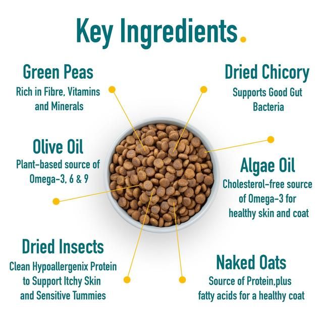 Percuro Insect Protein Adult Small Breeds Dry Dog Food 2kg