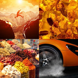 Perfumer's Choice No.10 By Mojo 50Ml Edp