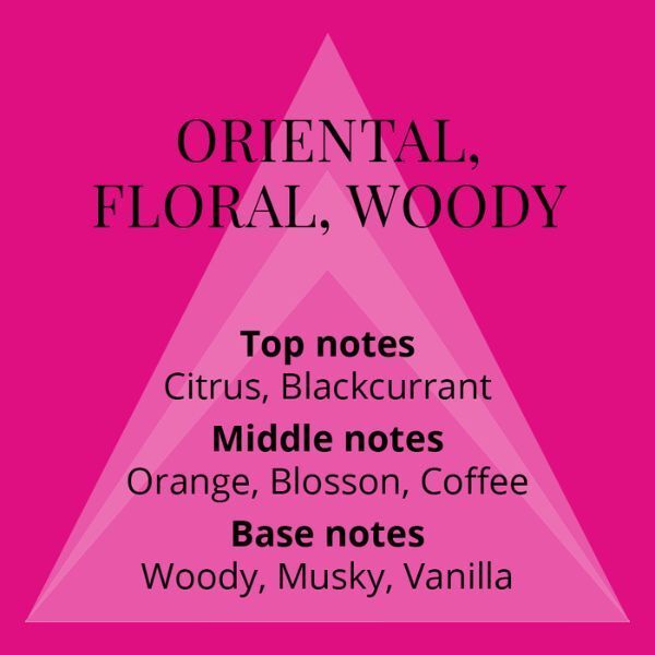 Perfumer's Choice No.8 By Valerie 50Ml Edp