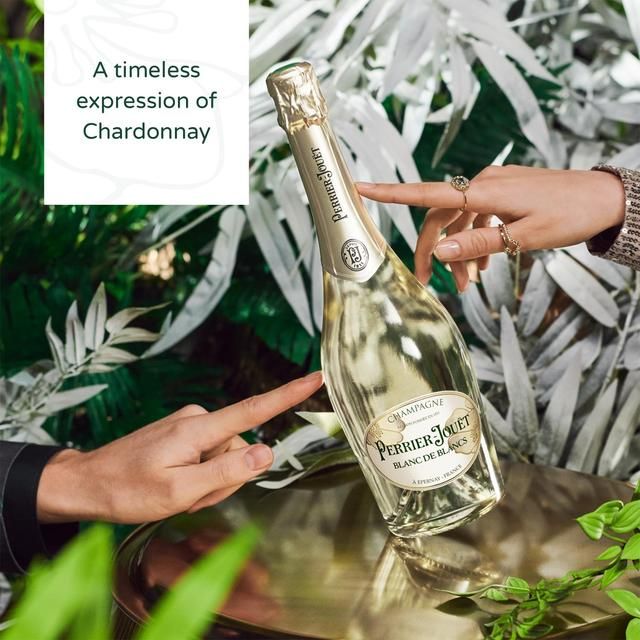 Perrier Jouet Blanc de Blanc 75cl