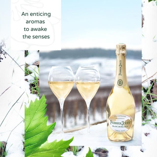Perrier Jouet Blanc de Blanc 75cl