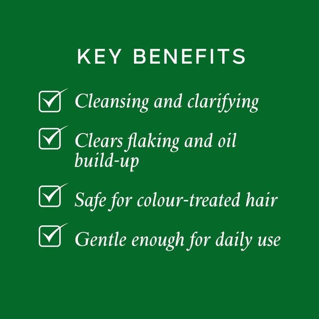 Philip Kingsley Flaky Itchy Scalp Anti-Dandruff Shampoo 500ml