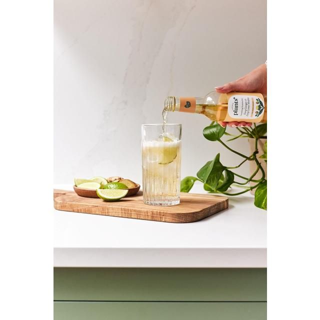 Plants by Deliciously Ella Ginger and Mint Mojito Kombucha 250ml