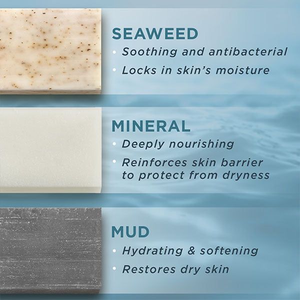 PraNaturals Dead Sea Soaps 3x70g - Ocean Infused Collection