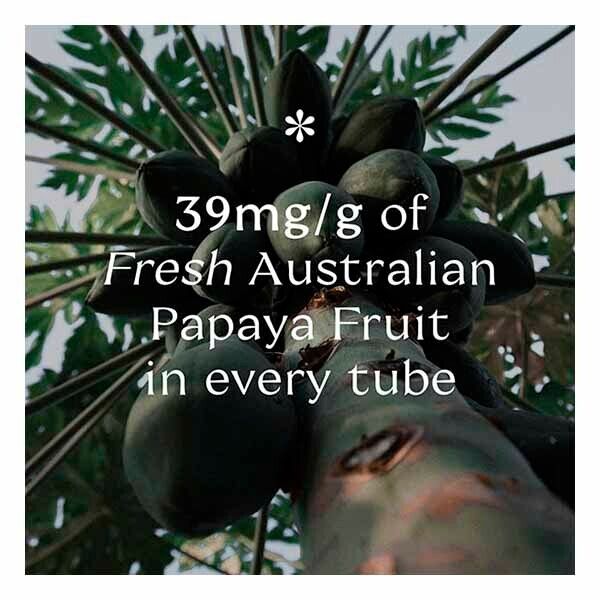 Pure Paw Paw Multiuse Ointment Original 25g