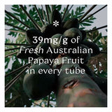 Pure Paw Paw Multiuse Ointment Passion Fruit 25g