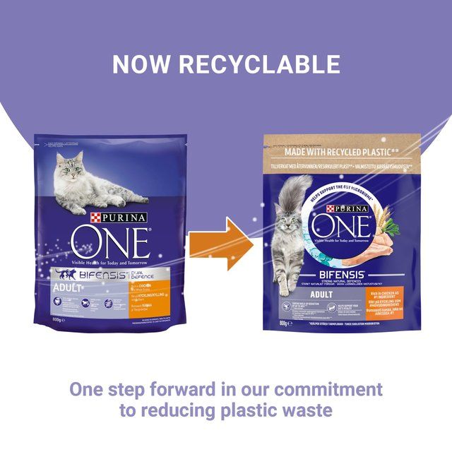 Purina One Chicken Dry Cat Food 800g