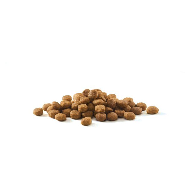 Purina ONE Light Dry Cat Food Chicken & Wheat 2.8kg