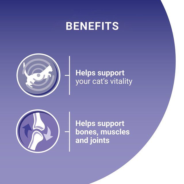 Purina One Mini Fillets Ocean Fish and Lamb Wet Cat Food 8 x 85g