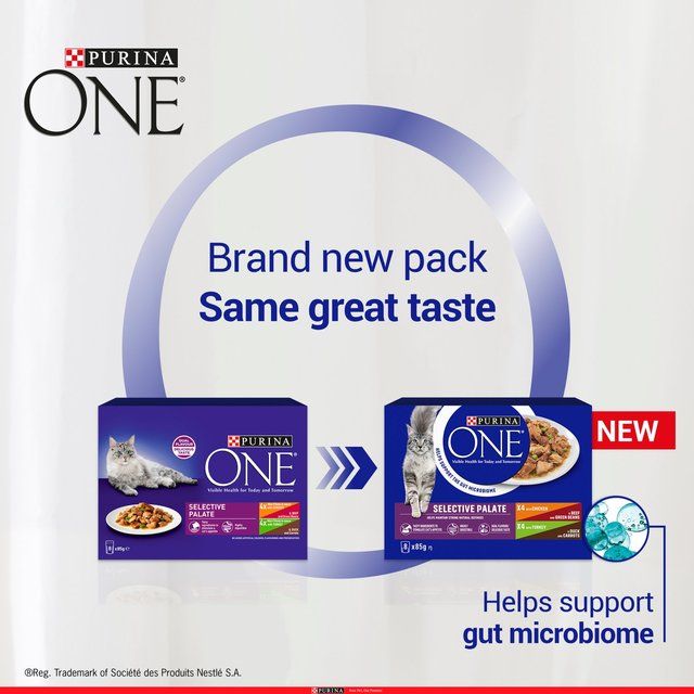Purina One Mini Fillets Selective Palate Wet Cat Food 8 x 85g