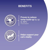 Purina One Salmon Dry Cat Food 800g