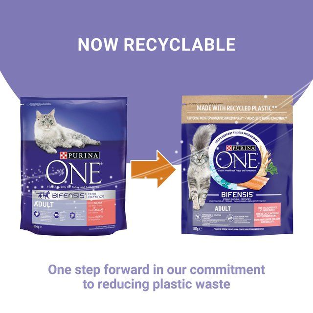 Purina One Salmon Dry Cat Food 800g