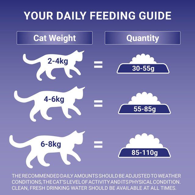 Purina One Sensitive Turkey Dry Cat Food 750g