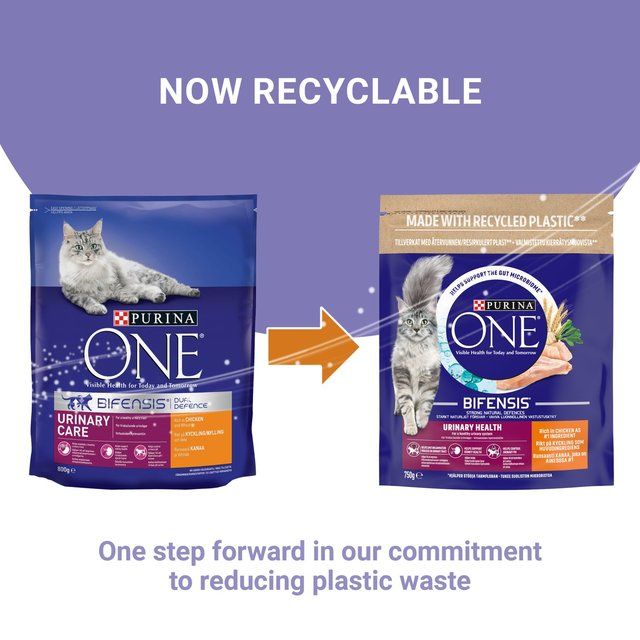 Purina ONE Urinary Care Dry Cat Food Chicken 750g